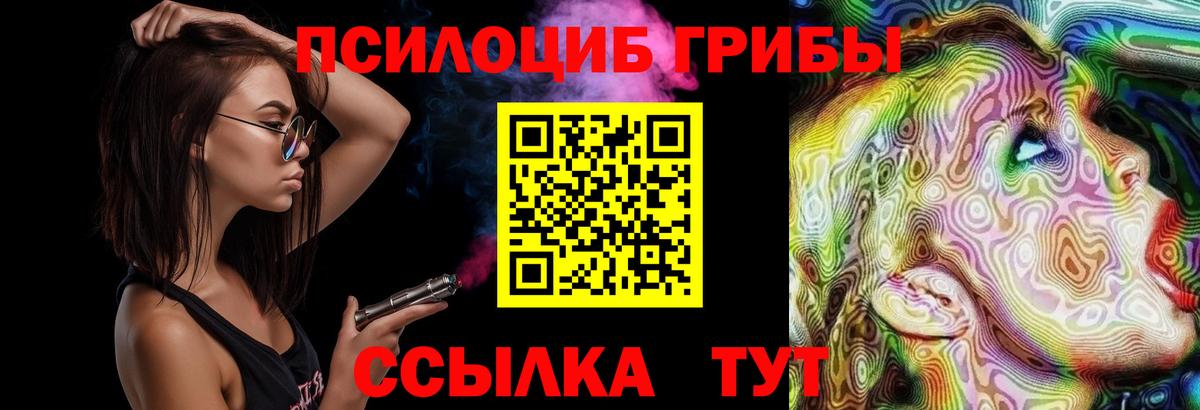 Зеленокумск  Псилоцибиновые грибы Psilocybine cubensis  Вход с VPN  Псилоцибиновые грибы MAGIC MUSHROOMS 